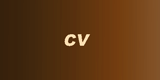 Aira Rautso - CV